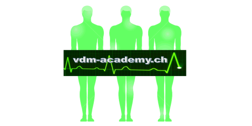 VDM-Academy GmbH